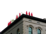 1 louisville penguins.jpg